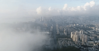 1606207556600017.png 圖片1.png