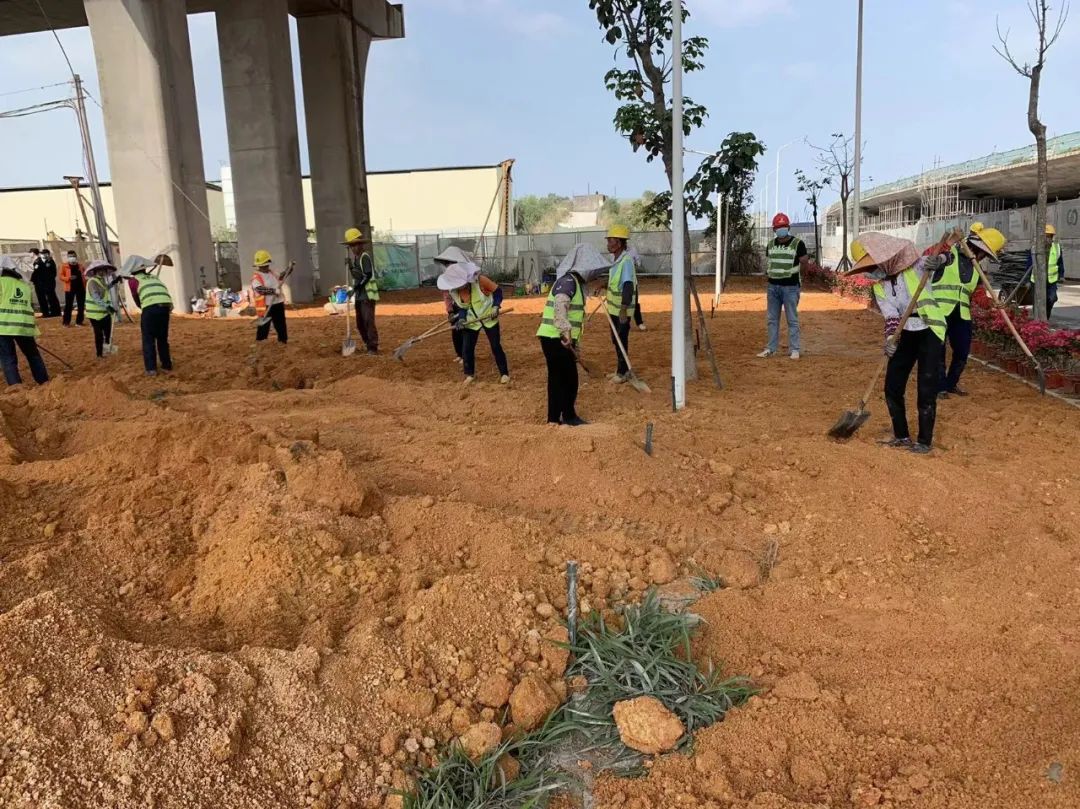 1647572061310727.jpg 1647572061310727.jpg