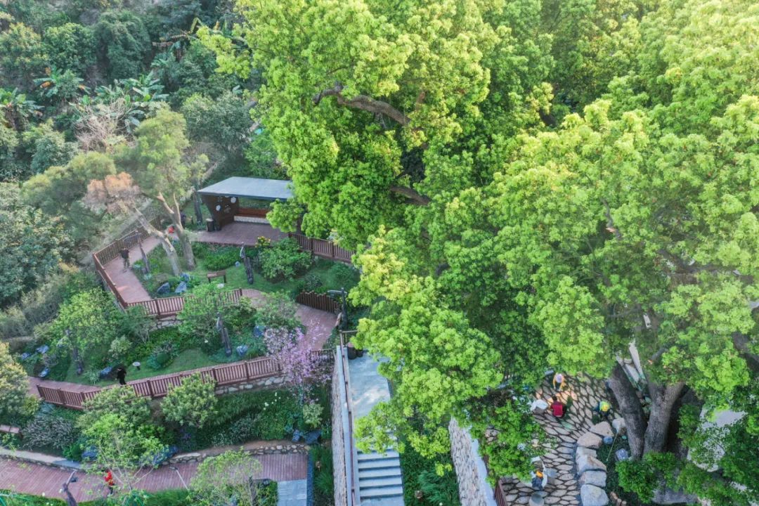 1683170951418373.jpg 微信圖片_20230504112129.jpg