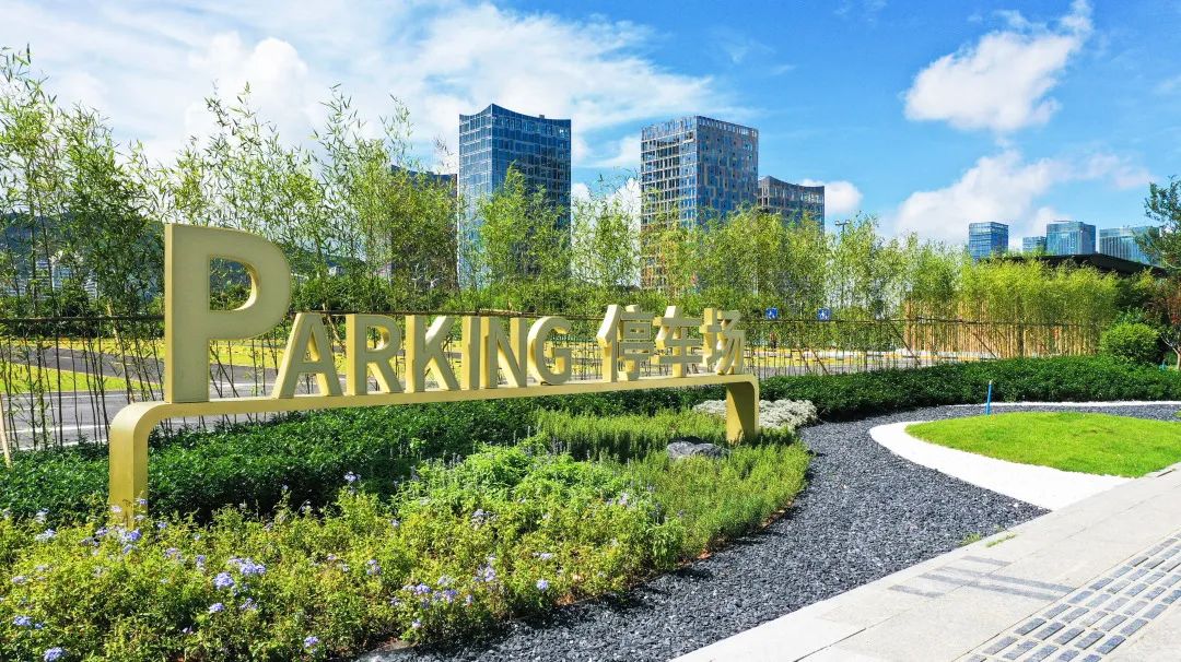 1694659145352959.jpg 1.jpg