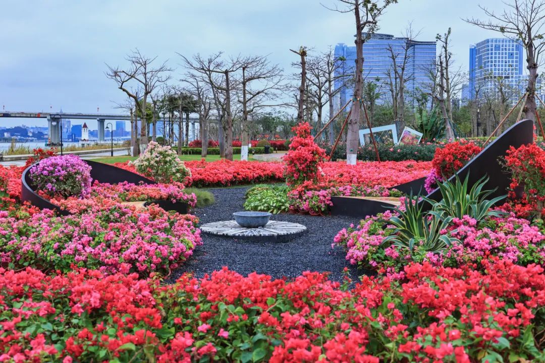 1721011160736450.jpg 7.jpg