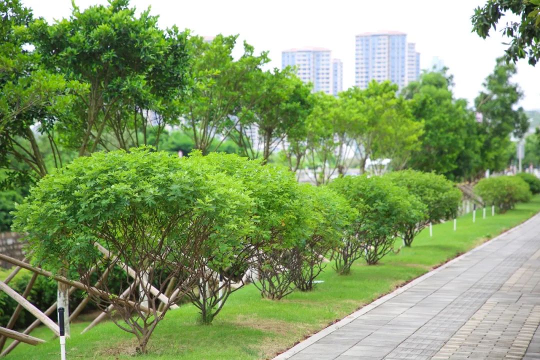 1721012431808473.jpg 3.jpg