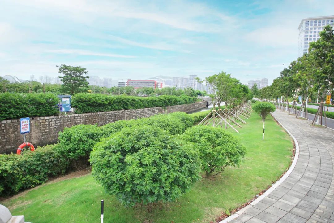 1721012447194971.jpg 4.jpg